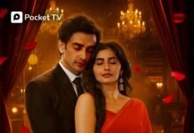 Six Unmissable Stories to Stream and Celebrate This Diwali – From Rishqiyaan to Thamma!